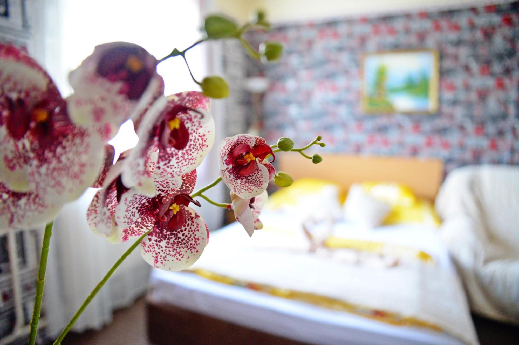 Joco Panzio Hotel Nyíregyháza Екстериор снимка